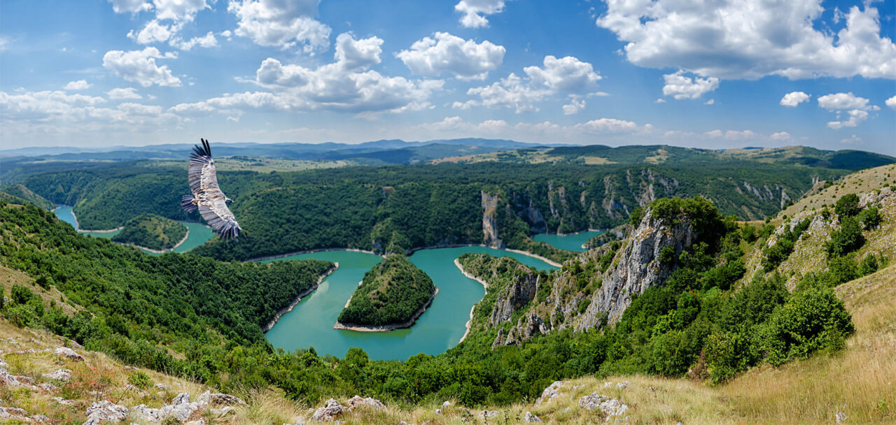 Tailor made private tours Nis Serbia